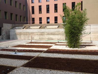 REALIZZAZIONE GIARDINI